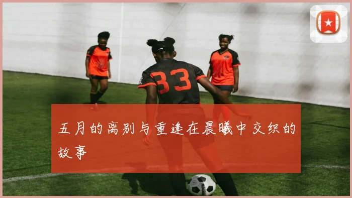 五月的离别与重逢在晨曦中交织的故事