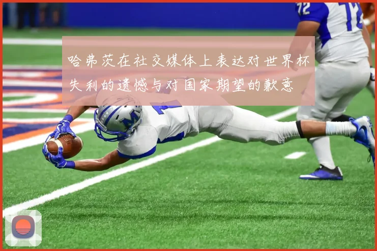 哈弗茨在社交媒体上表达对世界杯失利的遗憾与对国家期望的歉意